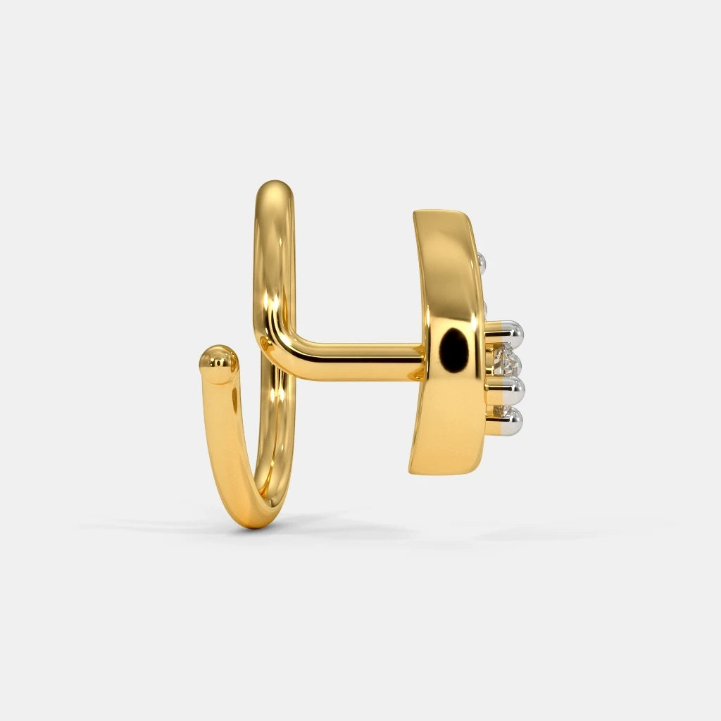 The Aalta Nose Pin