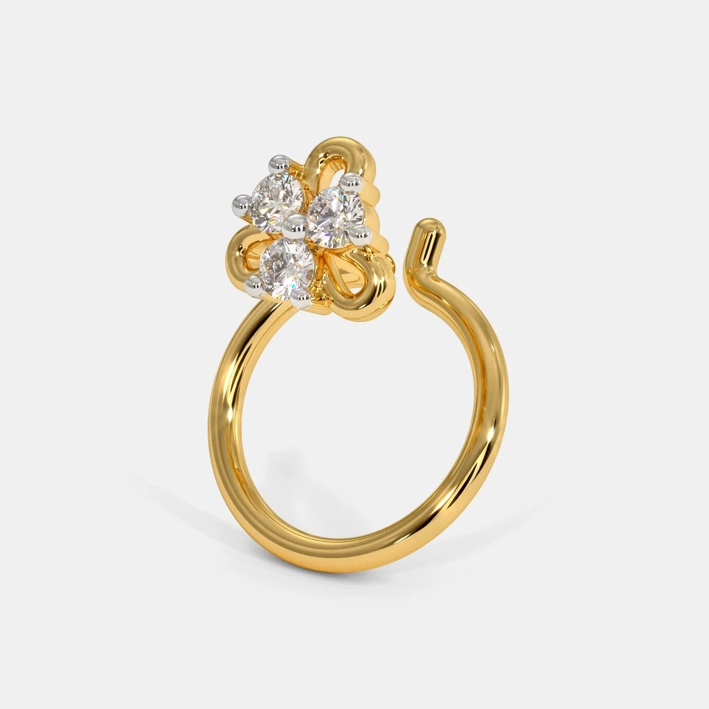 The Aeny Nose Pin