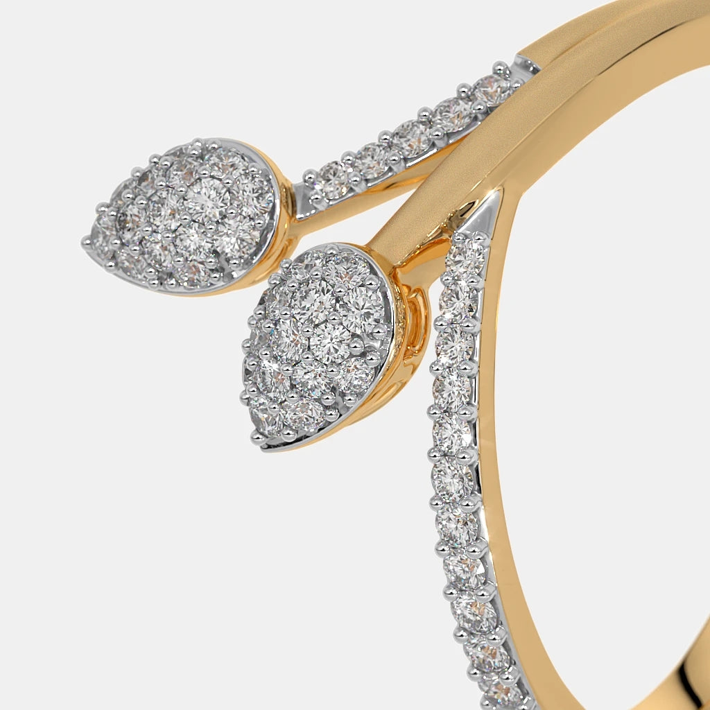 The Nemraa Ring