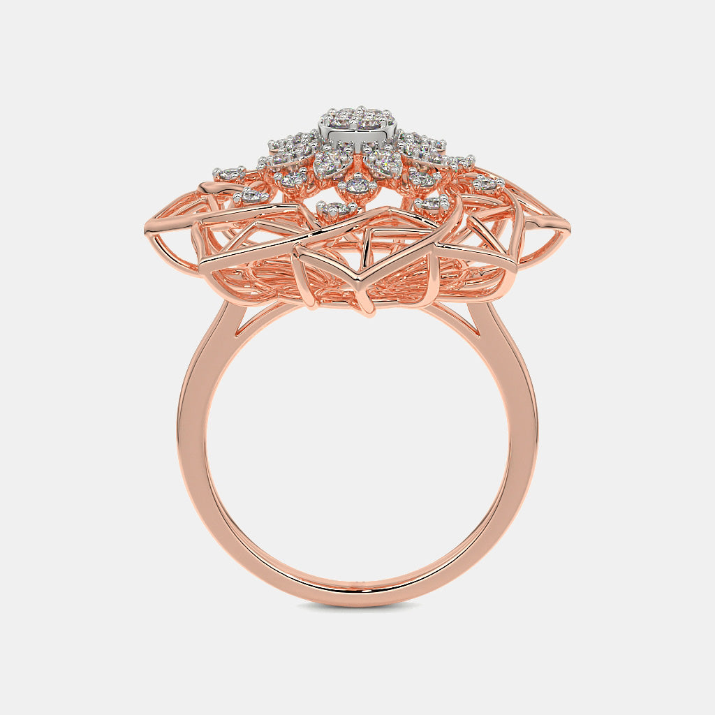 The Bilwa Ring